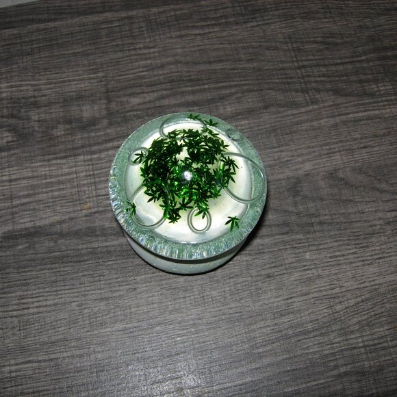 Handmade Mushroom Pot Leaf Stash Trinket Jewelry Box - Picture 2 of 5